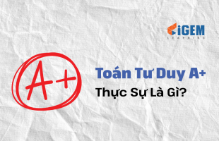 Toán Tư Duy A+ Là Gì? Liệu có nên cho trẻ học toán tư duy A+ từ nhỏ?